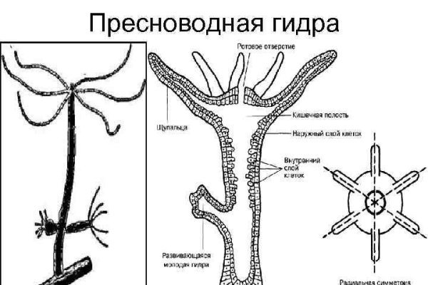 Мега сайт зеркало